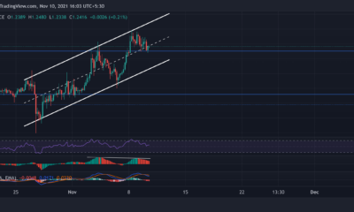 XRP, Solana, OMG 가격 분석: 11월 10일