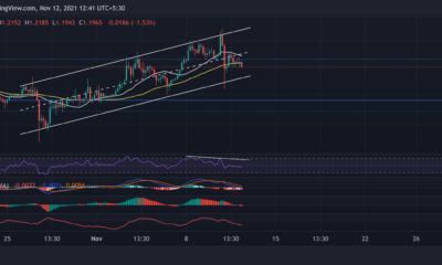 XRP, Shiba Inu, 루프링 가격 분석: 11월 12일