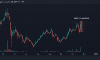 Monero & Dash가 Zcash처럼 랠리하여 "프라이버시 코인 시장"을 강화할 수 있습니까?