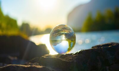 WEF 보고서는 블록체인이 인도적 지원을 어떻게 변화시키고 있는지 보여줍니다.