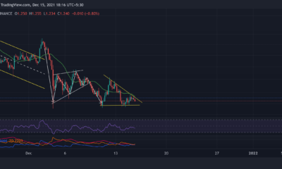 Cardano, Shiba Inu, IOTA 가격 분석: 12월 15일