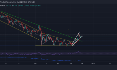 Cardano, Litecoin, NEAR 가격 분석: 12월 25일