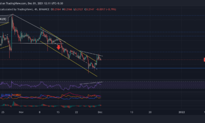 Dogecoin, VeChain, EOS 가격 분석: 12월 1일
