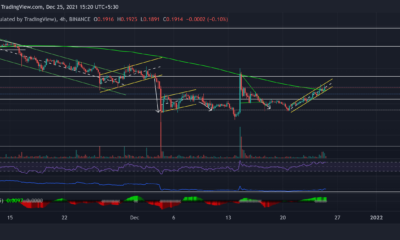Dogecoin, Avalanche, Bitcoin 현금 가격 분석: 12월 25일