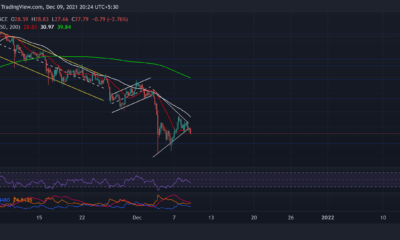 Polkadot, Solana, Bitcoin 현금 가격 분석: 12월 9일