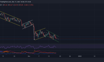 Polkadot, Avalanche, Bitcoin 현금 가격 분석: 12월 17일