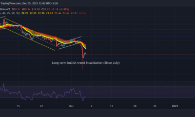 Chainlink, Ethereum Classic, Avalanche 가격 분석: 12월 5일