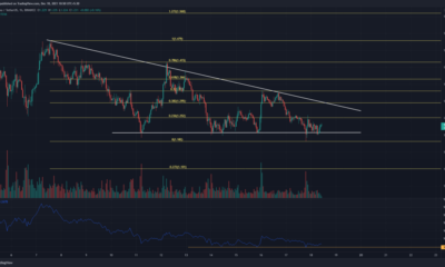 Cardano, Solana, Shiba Inu 가격 분석: 12월 18일