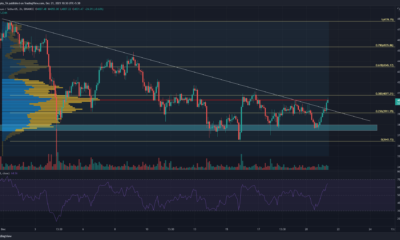 이더리움, EOS, VeChain 가격 분석: 12월 21일