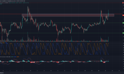 XRP, Decentraland, Dogecoin 가격 분석: 12월 21일