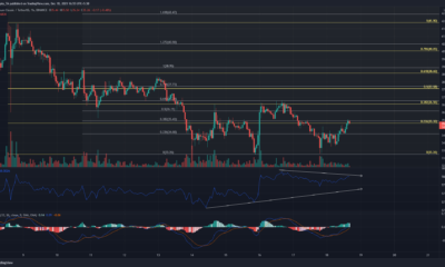 Ethereum Classic, Aave, EOS 가격 분석: 12월 18일