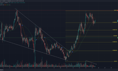 Polkadot의 강력한 단기 상승은 이러한 수준으로 상승할 것입니까?