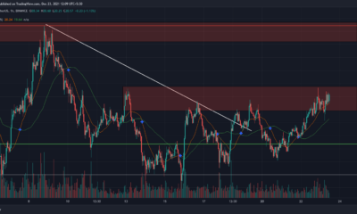 Chainlink – LINK가 $25로 랠리할 확률 평가