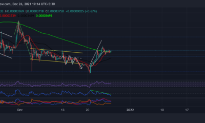 Shiba Inu, MANA, Bitcoin 현금 가격 분석: 12월 26일