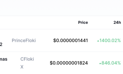 3, 그림에서 가장 많이 획득한 Floki 토큰과 함께 위험 신호에 대해 이야기할 시간입니다.