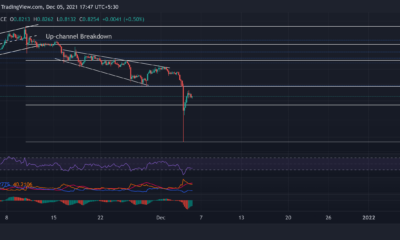 XRP, Tezos, Decentraland 가격 분석: 12월 5일