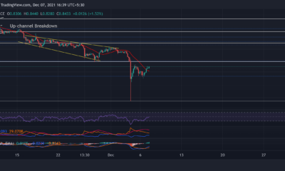 XRP, EOS, 스시 가격 분석: 12월 7일