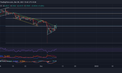XRP, Shiba Inu, EOS 가격 분석: 12월 9일