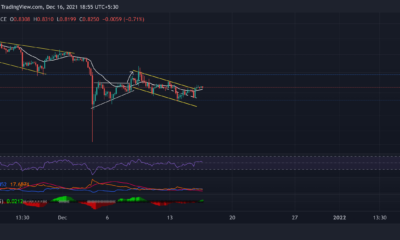 XRP, 알고랜드, 스시 가격 분석: 12월 16일