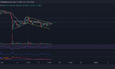 XRP, MATIC, Terra 가격 분석: 12월 17일