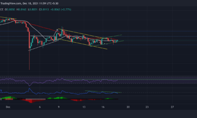 XRP, Tron, BitTorrent 가격 분석 12월 18일