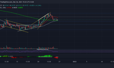 XRP, Terra, Dogecoin 가격 분석: 12월 26일