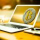 다음은 Bitcoin이 내년에 투자자의 포트폴리오를 형성하는 방법에 대한 안내입니다.