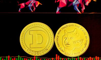 Dogecoin Foundation, 최초의 DOGE 로드맵 발표