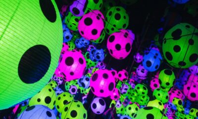 Polkadot 기반 SubDAO는 파라체인 슬롯 경매에서 철수합니다.  무엇을 준다