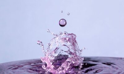 Ripple, SEC가 별도의 소송에서 항소 법원의 결정으로 인해 링으로 돌아 왔습니다.