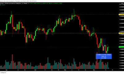 Chainlink 투자자들은 이러한 발전 덕분에 계속 HODL을 유지하고 있습니다.