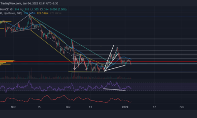 Cardano, Litecoin, NEAR 가격 분석: 1월 4일