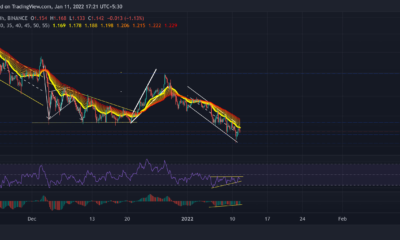 Cardano, NEAR, EOS 가격 분석: 1월 11일