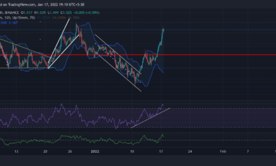 Cardano, Avalanche, Algorand 가격 분석: 1월 17일