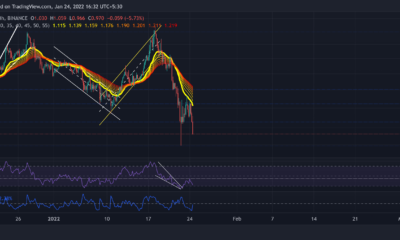 Cardano, Tron, Axie Infinity 가격 분석: 1월 24일