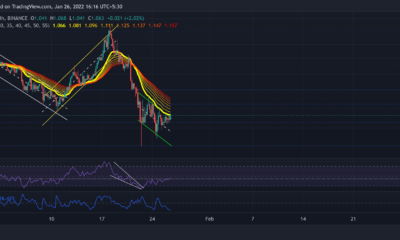 Cardano, SAND, Enjin 코인 가격 분석: 1월 26일