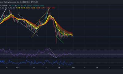 Cardano, Polkadot, GALA 가격 분석: 1월 31일