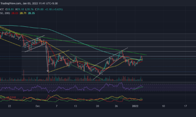 Polkadot, Dogecoin, Bitcoin 현금 가격 분석: 1월 3일