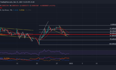 Shiba Inu, Litecoin, NEAR 가격 분석: 12월 31일