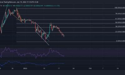 Shiba Inu, LUNA, VeChain 가격 분석: 1월 19일