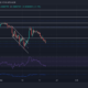 Shiba Inu, LUNA, VeChain 가격 분석: 1월 19일