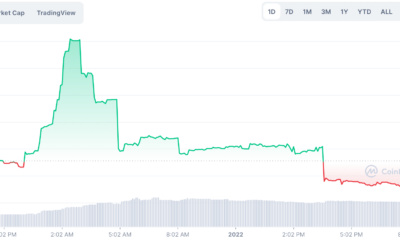 White Whale은 가짜 'Kucoin 상장'의 희생양이 되어 수백만 개의 토큰을 잃습니다.