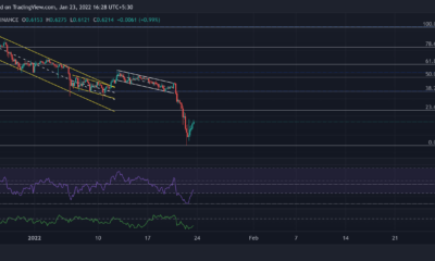 XRP, Shiba Inu, LUNA 가격 분석: 1월 23일