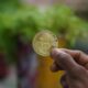 Bitfarms, 하락 매수, 1월 첫째 주에 1,000 BTC 취득