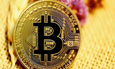 투자 담당자는 Bitcoin 투자자가 심리학에 대해 알아야 할 사항을 설명합니다.