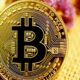 투자 담당자는 Bitcoin 투자자가 심리학에 대해 알아야 할 사항을 설명합니다.
