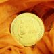 Tesla는 Dogecoin 지불 옵션을 테스트할 가능성이 있습니다: 보고서