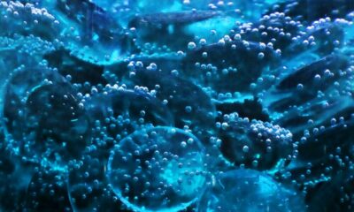 XRP 소송: SEC의 제출은 Ripple의 공정한 통지 방어를 공격하는 새로운 이유를 제공합니다