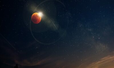 Stellar Lumens, 스마트 계약 추가, MoneyGram과 협력하여 생태계 확장
