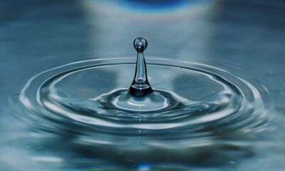Ripple 대 SEC: SEC가 DPP의 연장 및 재고를 요청한 이유는 다음과 같습니다.